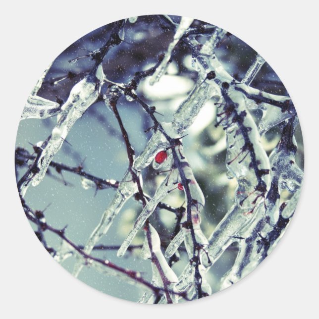 Redonda Pegatina de Berry congelado (Anverso)