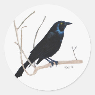Redonda Pegatina de Blackbird