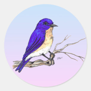 Redonda Pegatina de Bluebird