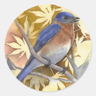 Redonda Pegatina de Bluebird
