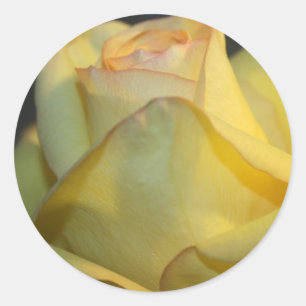 Redonda Pegatina de Boda rosa amarillo