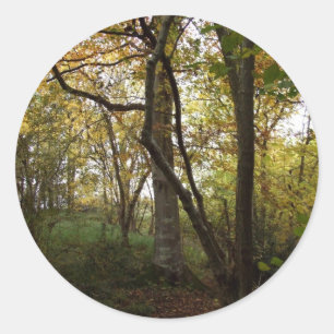 Redonda Pegatina de bosques de otoño