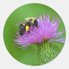 Redonda Pegatina de Bumblebee
