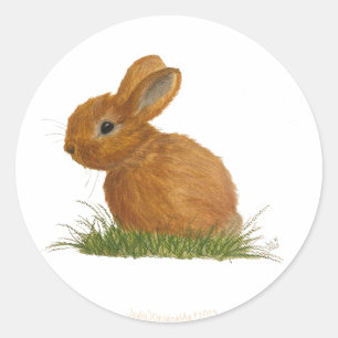 Redonda Pegatina de Bunny Brown
