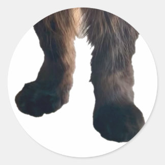 Redonda Pegatina de buster - ¡Pies!