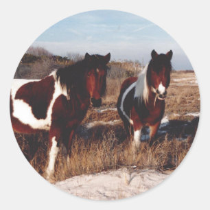 Redonda Pegatina de caballos de Assateague, Pegatina de "P