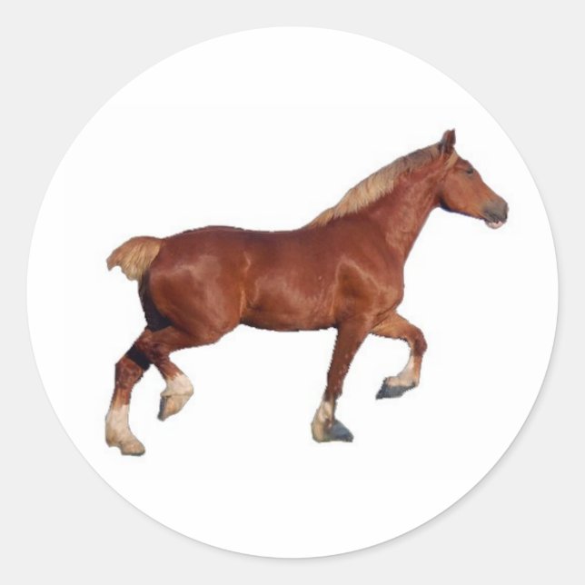 Redonda Pegatina de caballos de Borrador de Bélgica (Anverso)