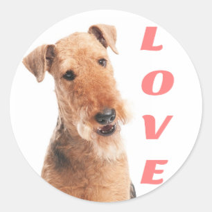 Redonda Pegatina de cachorro de perro Terrier Airedale Amo
