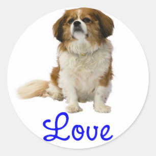 Redonda Pegatina de cachorro de spaniel Cavalier King Char