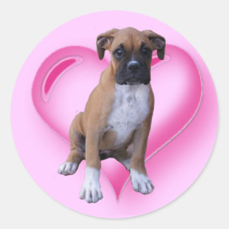 Redonda Pegatina de cachorros de Boxer