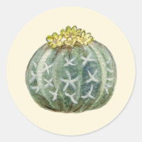 Pegatina de cactus de barril azul