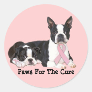 Redonda Pegatina de Cáncer de Mama de Boston Terrier