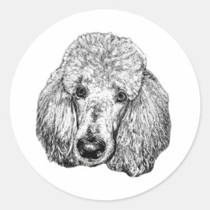 Redonda Pegatina de cara de caniche – Arte realista en bla