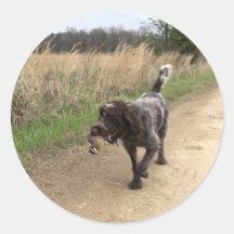 Pegatina de caza de codorniz de griffon