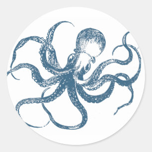 Redonda Pegatina de cianotiotipo Octopus