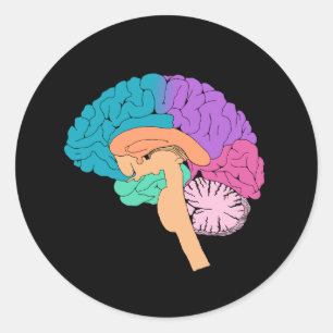 Redonda Pegatina de ciencia de medio cerebro