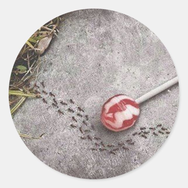 Redonda Pegatina de Conciencia Química (Anverso)