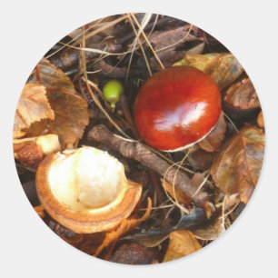 Redonda Pegatina de Conker y Seed Funda