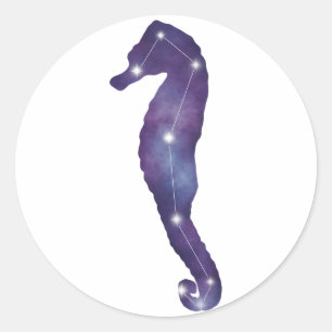 Redonda Pegatina de Constellation Seahorse