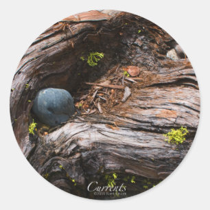 Redonda Pegatina de corrientes