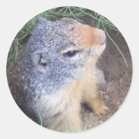 Pegatina de Cute Groundhog