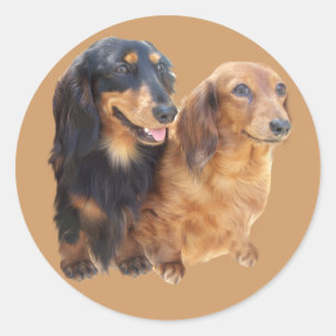 Redonda Pegatina de Dachshund Sweeties