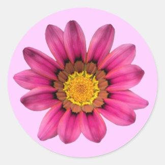 Redonda Pegatina de Daisy Rosa