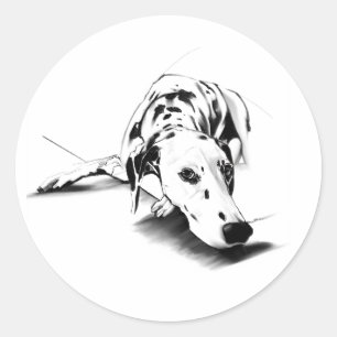 Redonda Pegatina de Dálmata - Arte de Perro