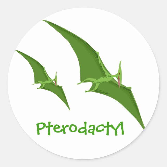 Redonda Pegatina de dinosaurios pterodáctilos (Anverso)