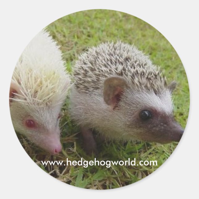 Redonda Pegatina de dos cuties (Anverso)