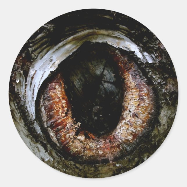 Redonda Pegatina de Eyeball (Anverso)