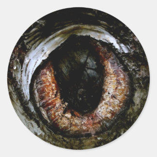 Redonda Pegatina de Eyeball