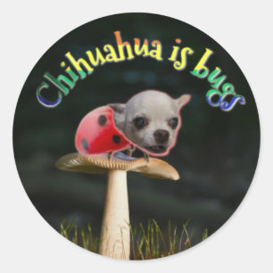 Redonda Pegatina de fallos Copernicus