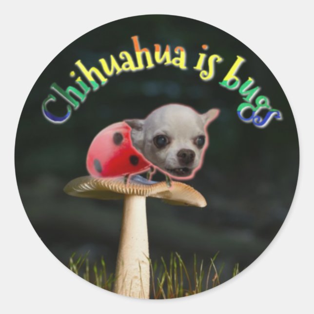 Redonda Pegatina de fallos Copernicus (Anverso)