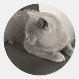 Redonda pegatina de felino plegado