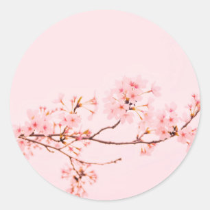Redonda Pegatina de flor de mármol rosa
