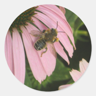 Redonda Pegatina de flor rosa