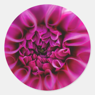 Redonda Pegatina de flor rosa