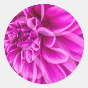 Redonda Pegatina de flor rosa