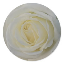 pegatina de flores blancas