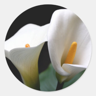 Redonda Pegatina de flores de Calla blanca Lily