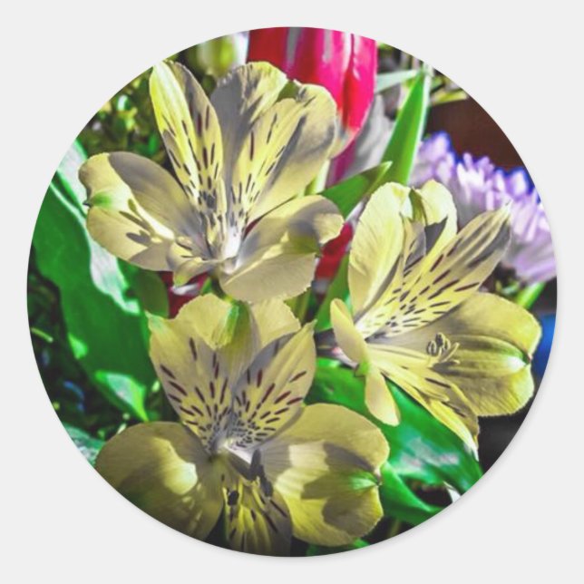 Redonda Pegatina de flores de color pop (Anverso)