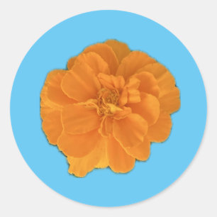 Redonda Pegatina de flores de Marigold