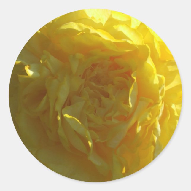 Redonda Pegatina de flores de Peonies Amarillos Brillantes (Anverso)