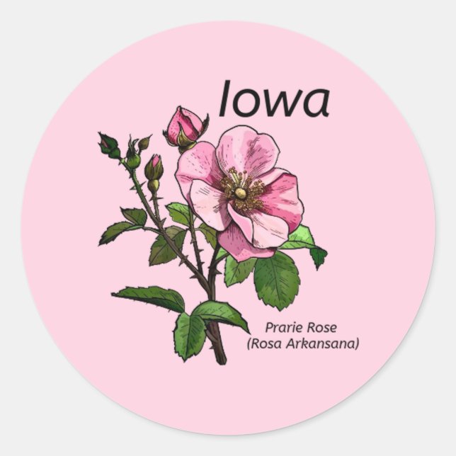 Redonda Pegatina de Flores del Estado de Iowa (Anverso)