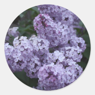 Redonda Pegatina de Flores Lilac