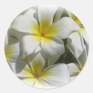 Redonda Pegatina de Flores Tropicales Plumeria Celedine