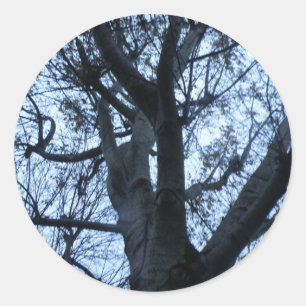 Redonda Pegatina de fotografías de silueta de árbol