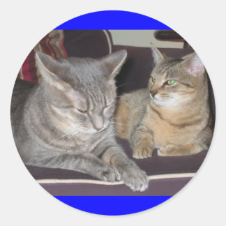 Redonda Pegatina de gato