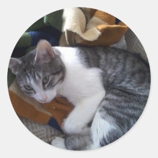 Redonda Pegatina de gato
